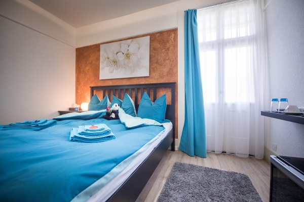 Hotel Max Aviation Villa (Bern)